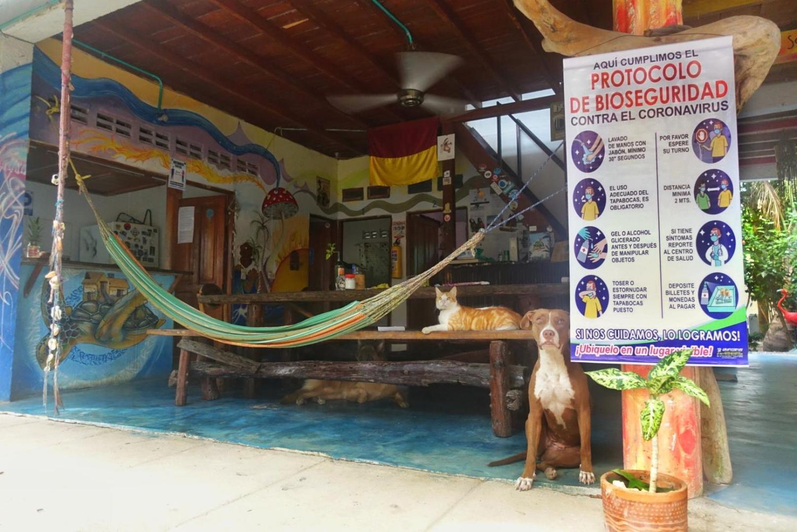 Casa Surf Mar Azul Hotel Palomino Luaran gambar